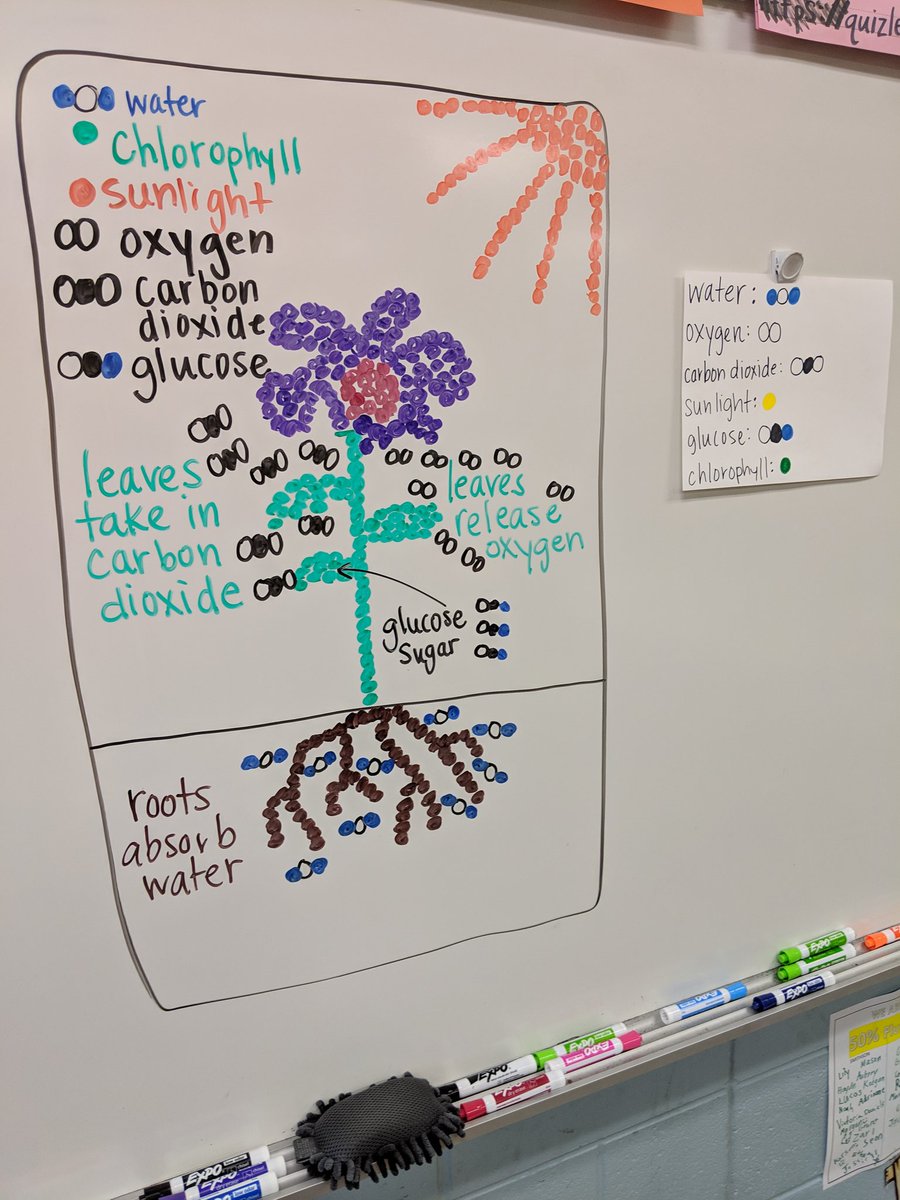 SmithsonFRES's tweet image. 🎨👩‍🎨🖌️🖼️🌱 Photosynthesis artist time!! We all did our own "pointillism" plant art today! #pcpsFRES #PowTeach4