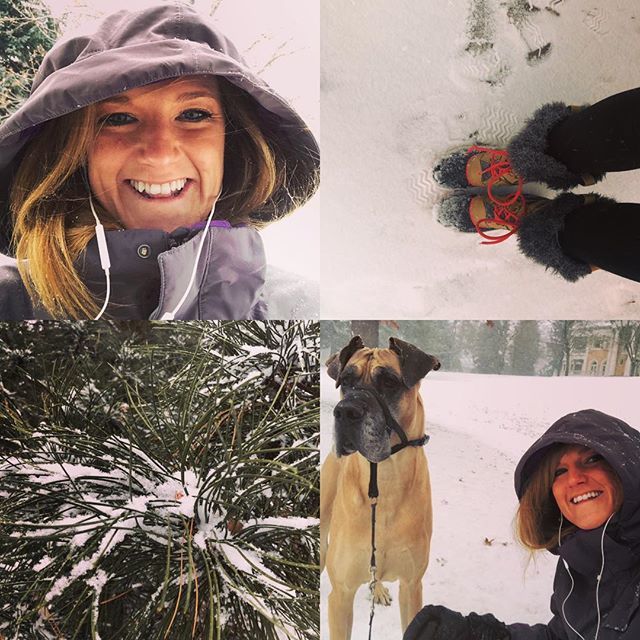 DenverREDiva's tweet photo. Morning adventures with Chief! #snowday #denversnow https://t.co/PX3o7tQkZv https://t.co/CZjtQ43VIZ