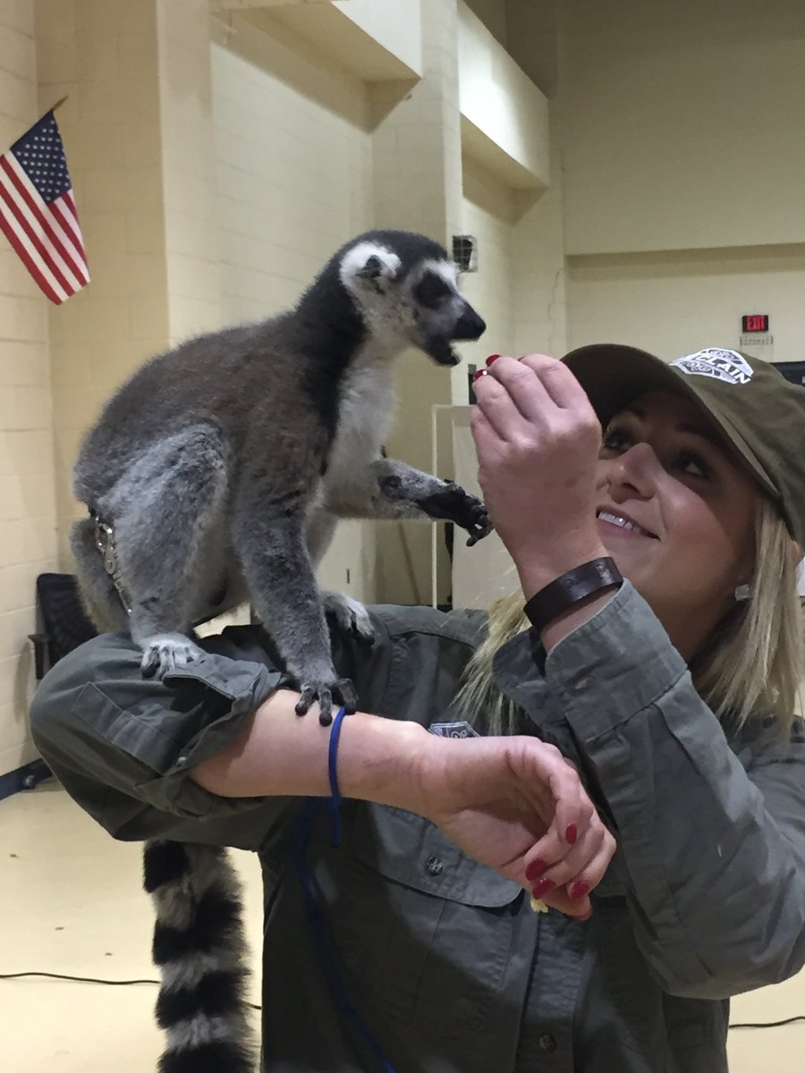 BulldogsBHS's tweet photo. Dr. Rick Kirby came to do an educational session with baby animals from @McClain_Lodge with our Health Science students this morning.  What a cool learning opportunity for them, and some super cute animals! Thank you to Dr. Kirby at Hometown Veterinary Hospital and McClain! https://t.co/XIDyGLmIBv