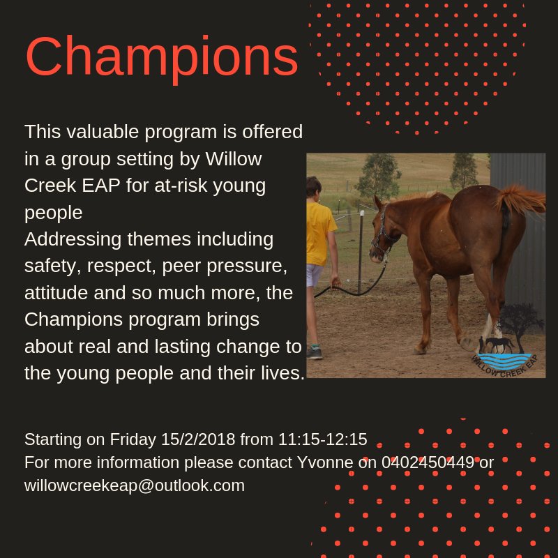 willowcreekeap's tweet photo. The Champions program is an amazing powerful program for youth who need some direction in life. For ages 12-17, please contact me for more details. #horseshelpingyouth #healinghorses #findingmyownway #lovinghorses https://t.co/0RdBDtRtoB