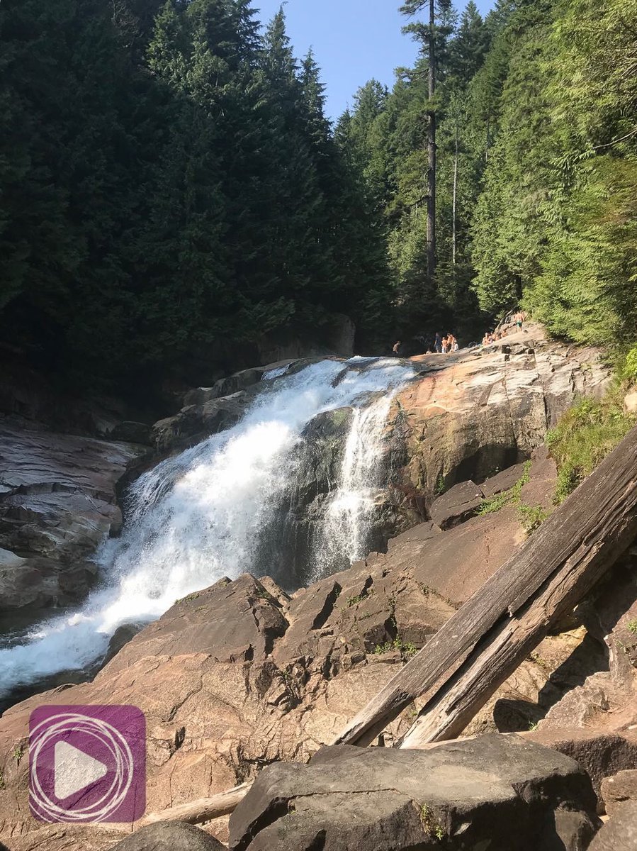 EBCDigitalNest's tweet photo. Don't go chasing waterfalls ✨💫 #EBCCanadaBureau 
#GoldenEars #BeautifulBC #ExploreBC #Vancouvertrails #FraserValley #EBCDN #EBCDigitalNest #NET25 #1with25 #EBCPhotography https://t.co/sphzsTRL4P