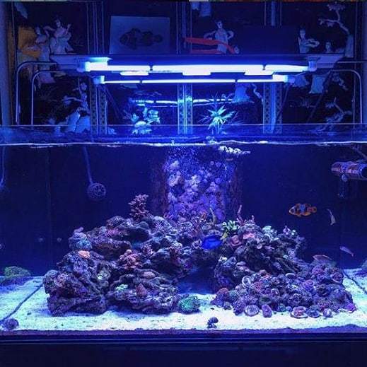 maxspect hashtag on twitter