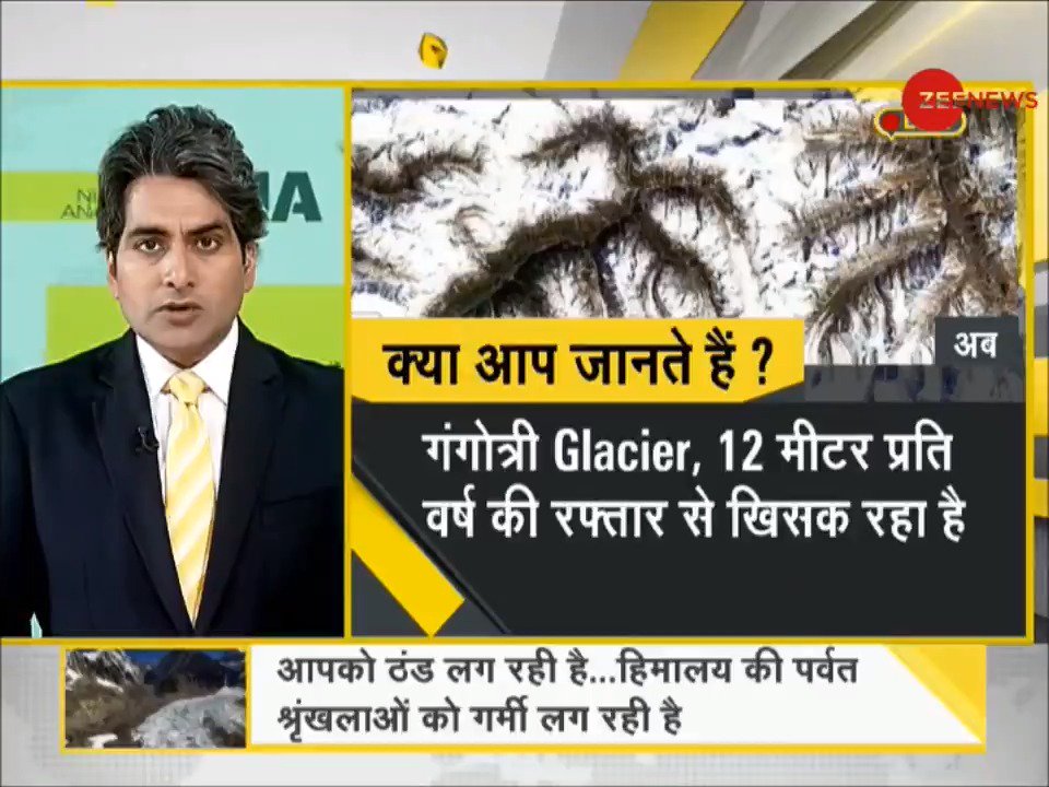 Himalayan The Himalayan jumping spider world’s highest living animal