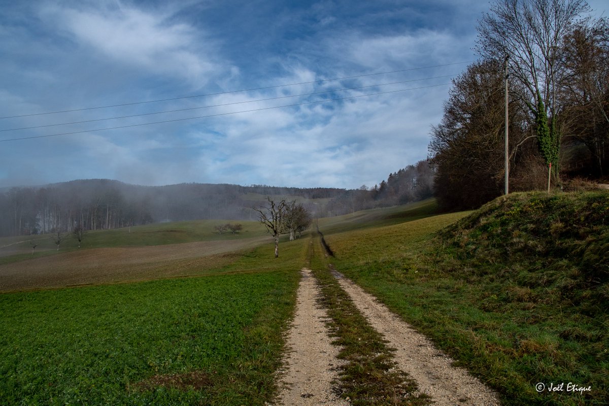 joeletique's tweet photo. chemin #jura #swisss #Nikon https://t.co/f4AeDl3wph