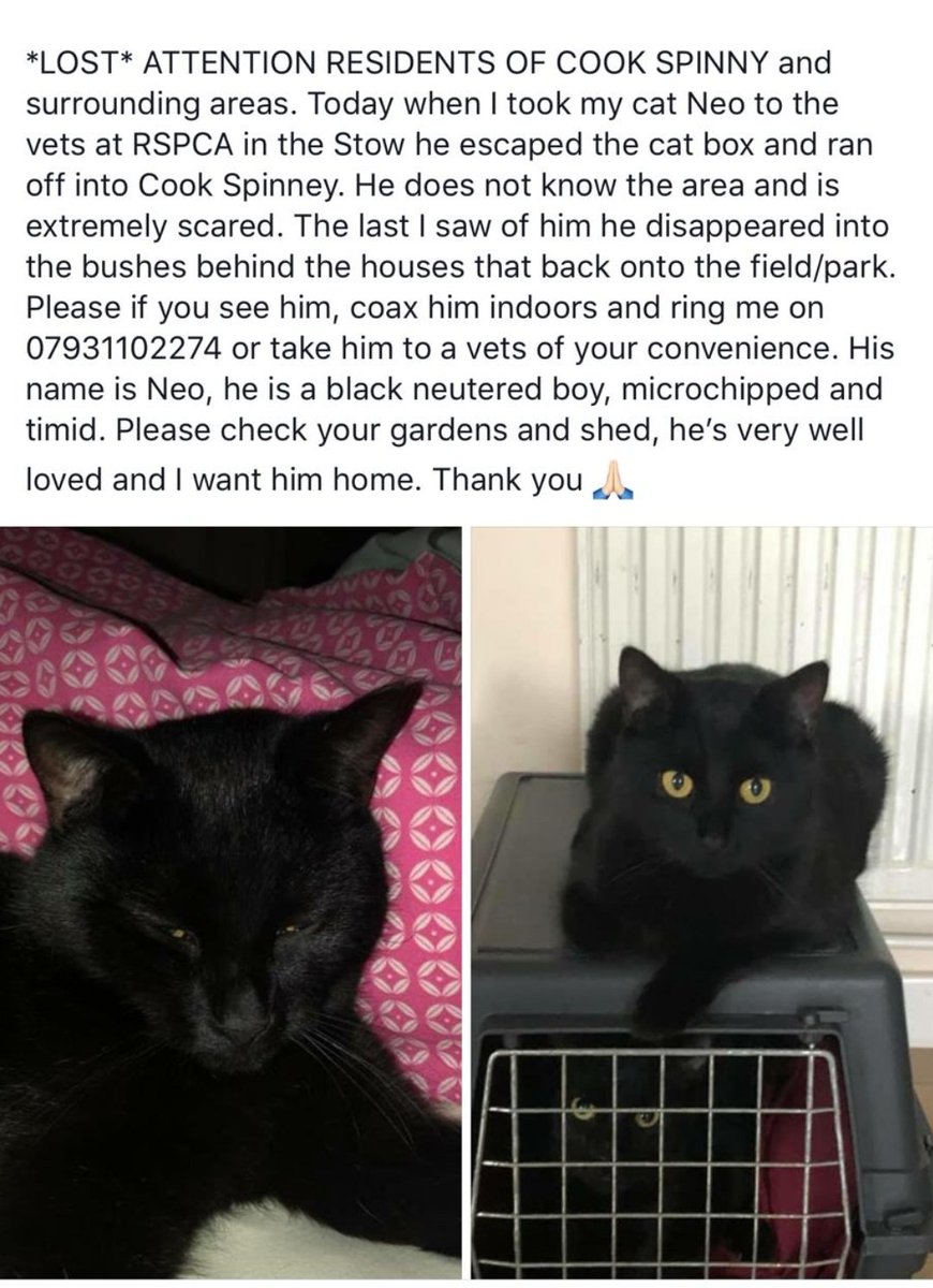 RSPCA Stort Valley tweet media