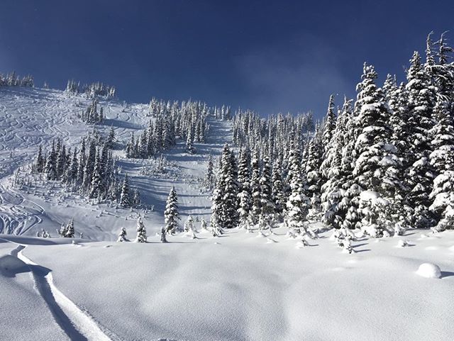 MSA Adventures tweet media