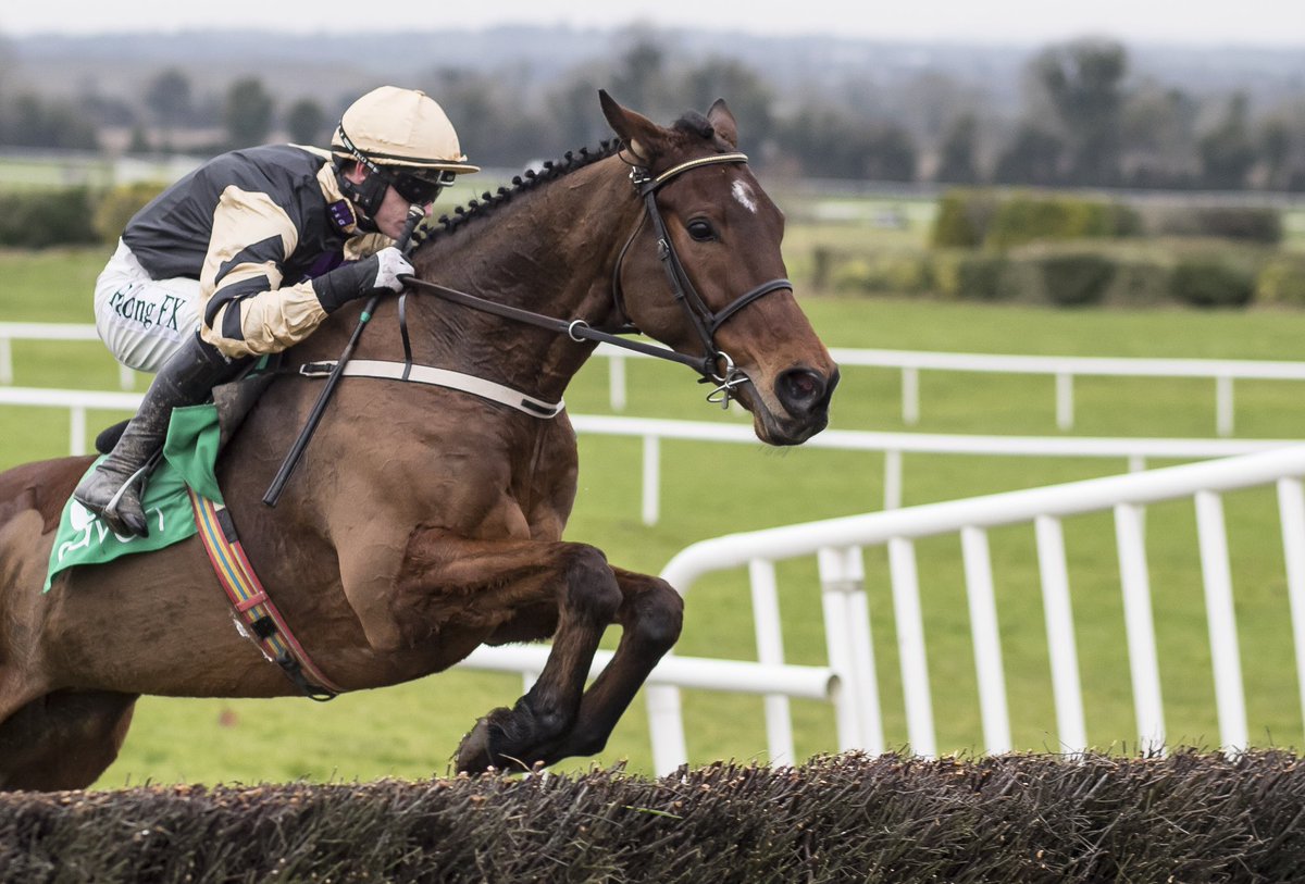 NavanRacecourse's tweet image. Invitation Only wins the €100,000 GrA @Goffs1866 Thyestes Chase for @WillieMullinsNH &amp;amp; @Ruby_Walsh. He won his Bumper here with Patrick Mullins on board and also won his Novice Chase here at Navan with @PTownend. #NavanForm #NavanGraduate