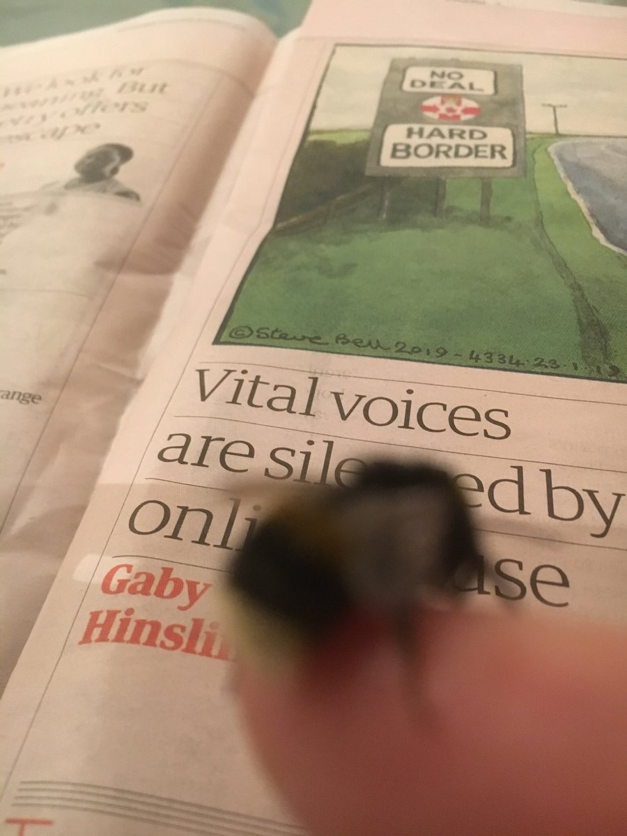 JacquelineLD's tweet photo. Thanks everyone for your advice. I can report that ‘Miss 🐝’is still with us. Still curious, feeding & underneath her temporary box home. Hoping tomorrow is the warm day we take her out to 💐 Incidentally I’m pleased to report she likes the @guardian #beeupdate #Naturematters https://t.co/jkMr1CE9RU