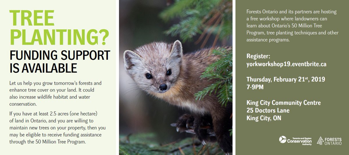 Let us help you grow tomorrow’s forests and enhance tree cover on your land. Free workshop for landowners in York Region to learn about Ontario's #50MillionTreeProgram with @Forests_Ontario on Feb 21st: register on-line at: yorkworkshop19.eventbrite.ca