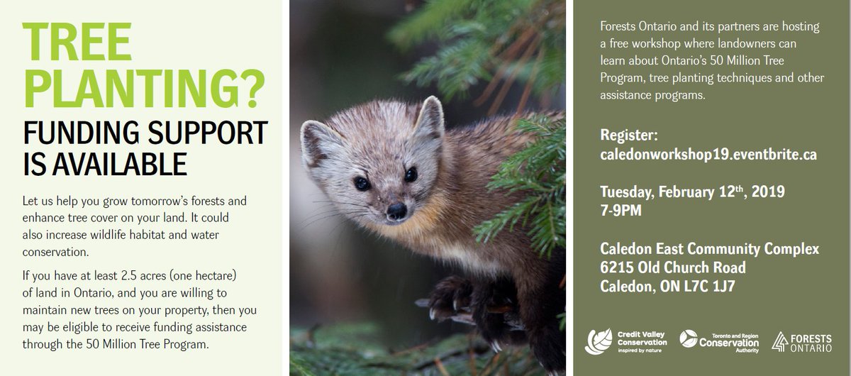 Humber River TRCA tweet media