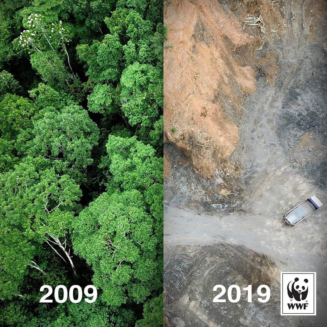 ClimateCharlie's tweet image. #TenYearChallenge