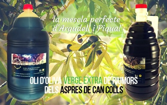 Difícil de trobar perquè la producció és molt minsa. #Oli de qualitat de Riumors al #altempordà si en teniu la oportunitat no us el deixeu perdre! Encara ens en queda alguna garrafa a la web!