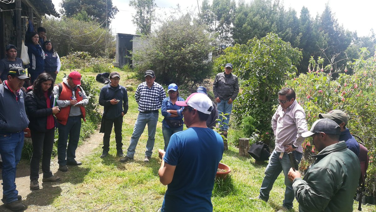 Preparación de caldo sulfocálcico para protección de cultivos, Cevallos Tungurahua. Apoyo MAG Tungurahua.