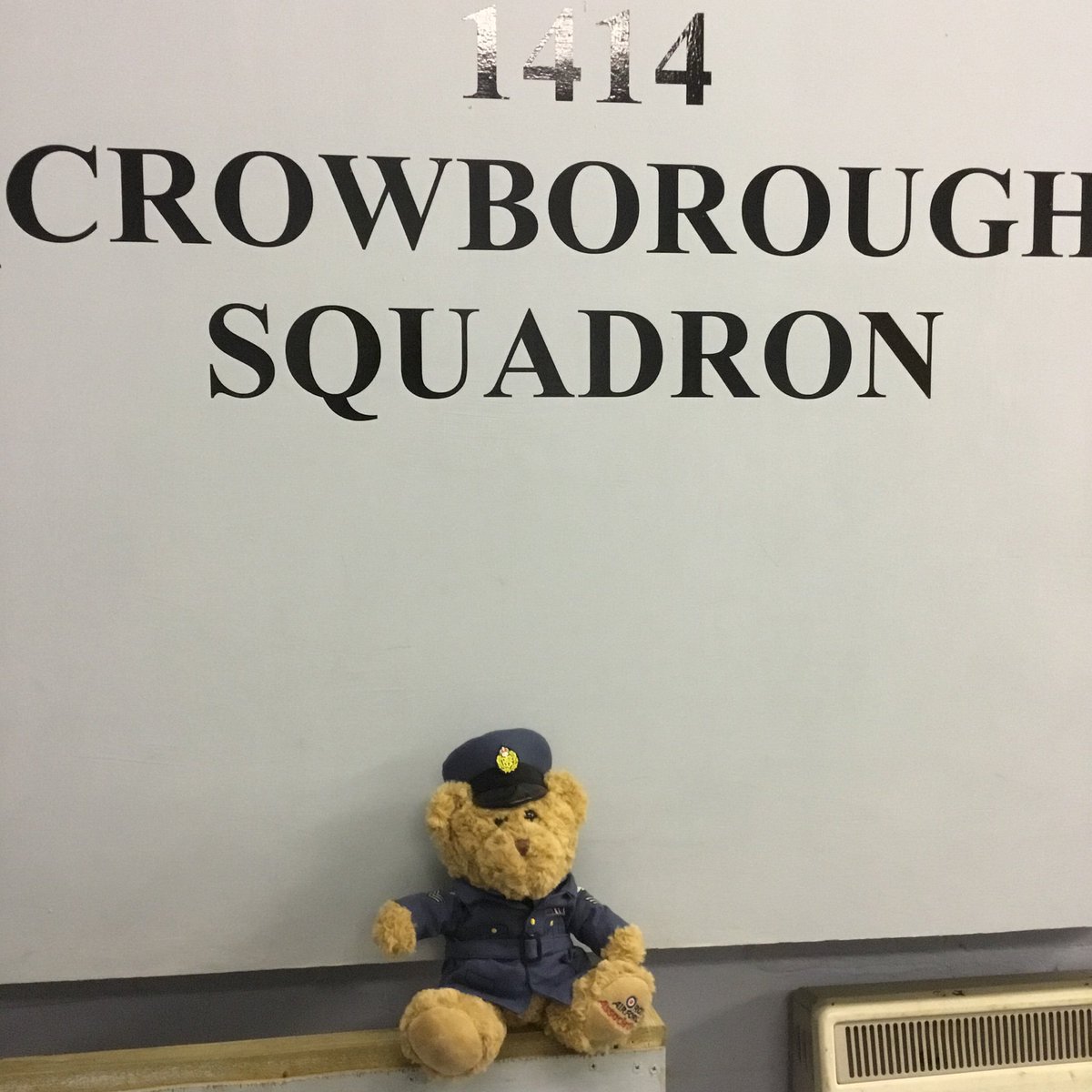New Sqn mascot #sgtedwardbear. What do you think?