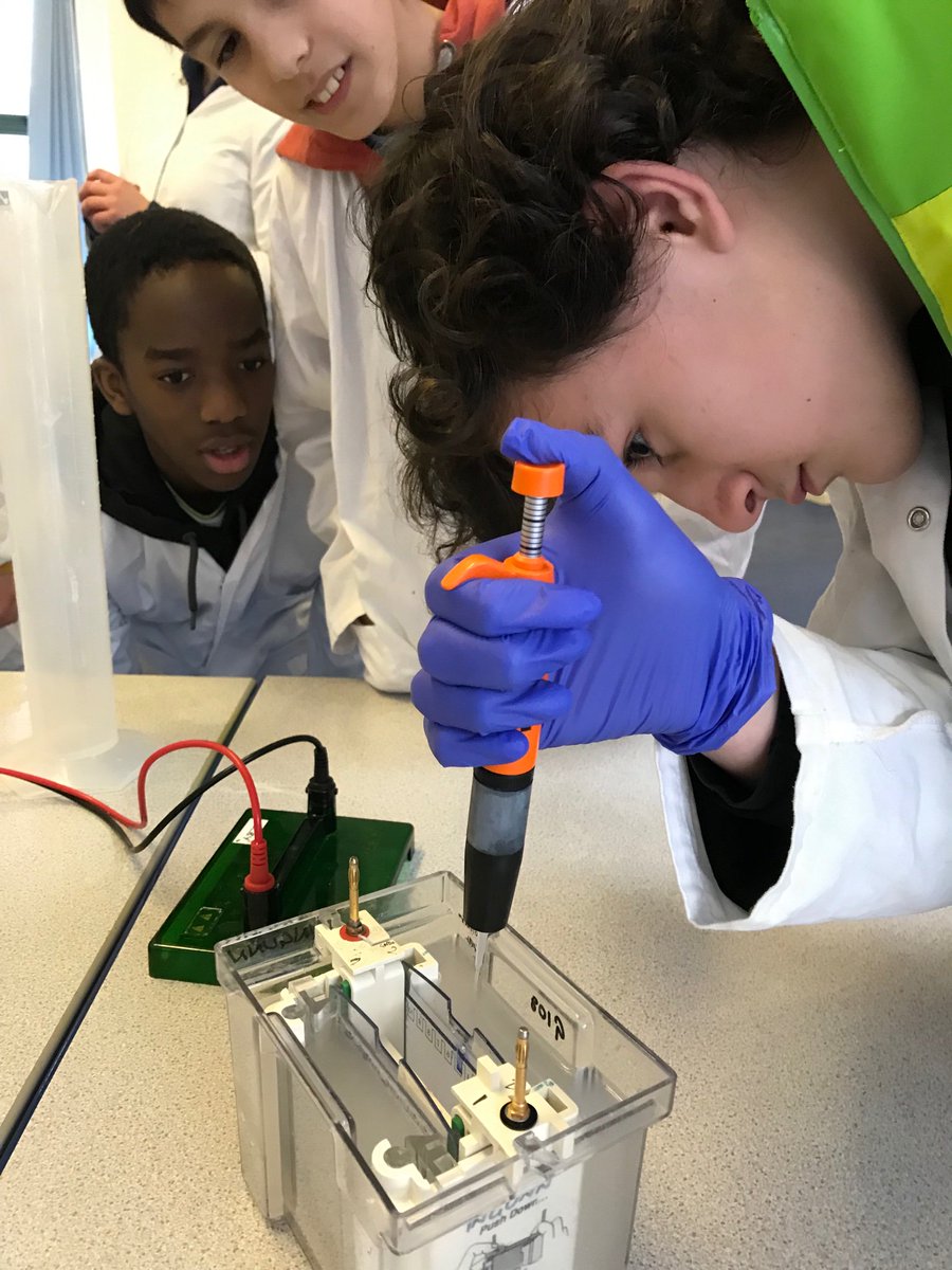 Discovery STEM Edu tweet media