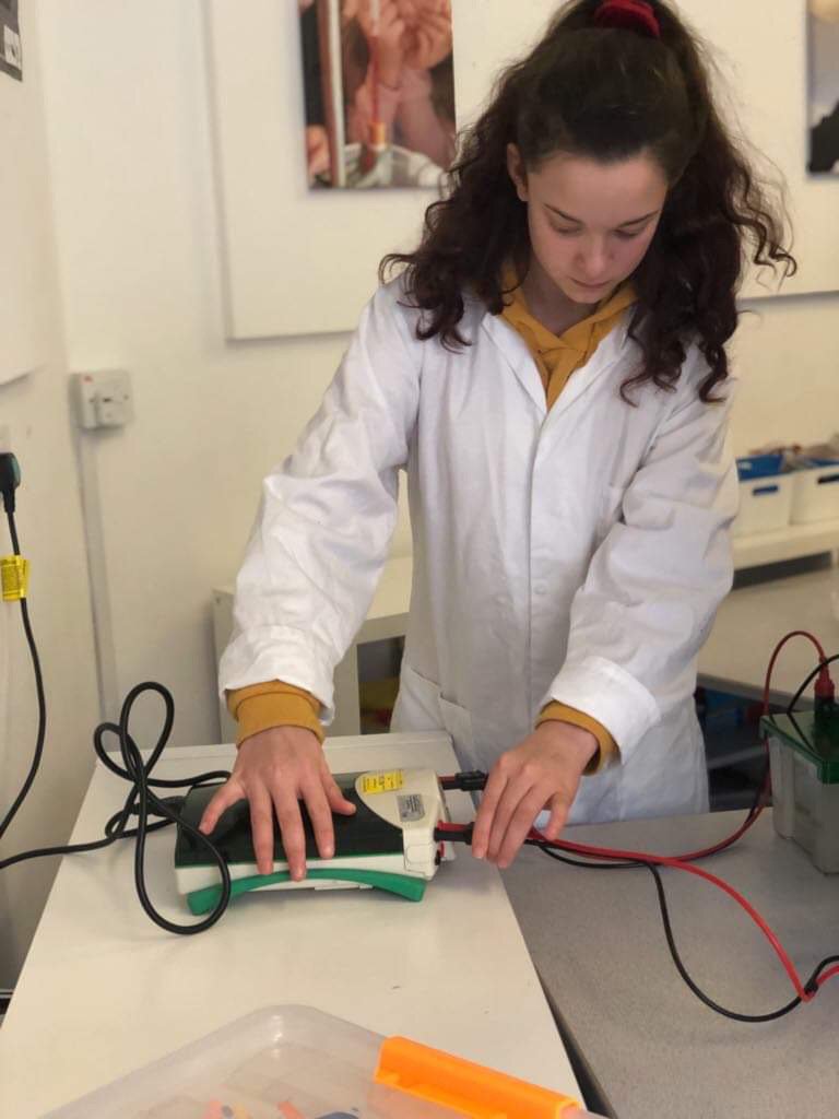 Discovery STEM Edu tweet media