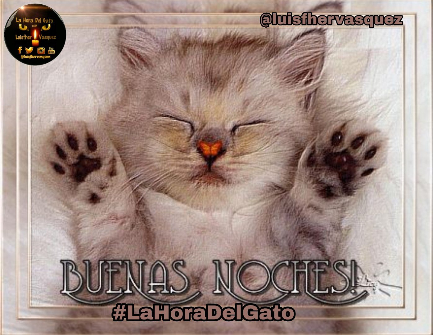 La Hora Del Gato on Twitter: La Hora Del Gato on Twitter: