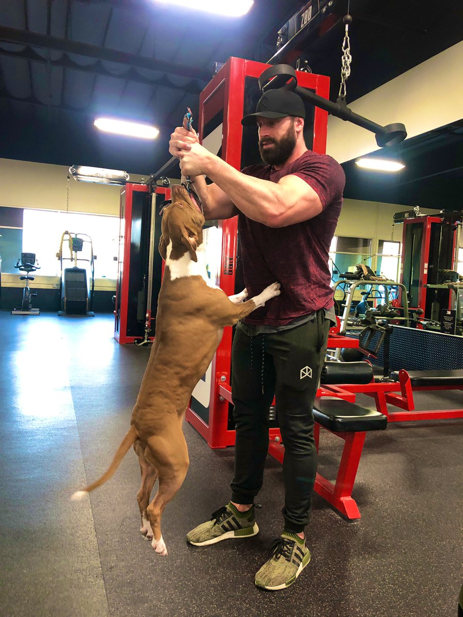 BradleyMartyn's tweet photo. Got this new arm machine at the gym🤘🐶 https://t.co/WrYl8BMGqP