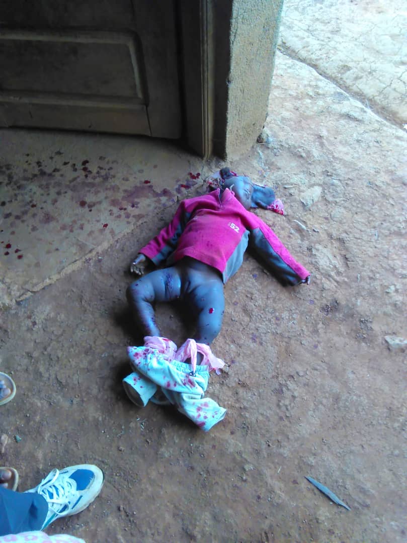 GilEkane's tweet photo. SOS ! #Cameroon military reportedly shot dead a child of about one year old and her mother in Kumbo. The world has remained silent while the #Cameroon military continue to kill even little babies. Pathetic @LeahHardingAJE @AlJazeera @KarenPierceUN @voglerk @SwedenUN @GermanyUN https://t.co/9JuTE5PlQi
