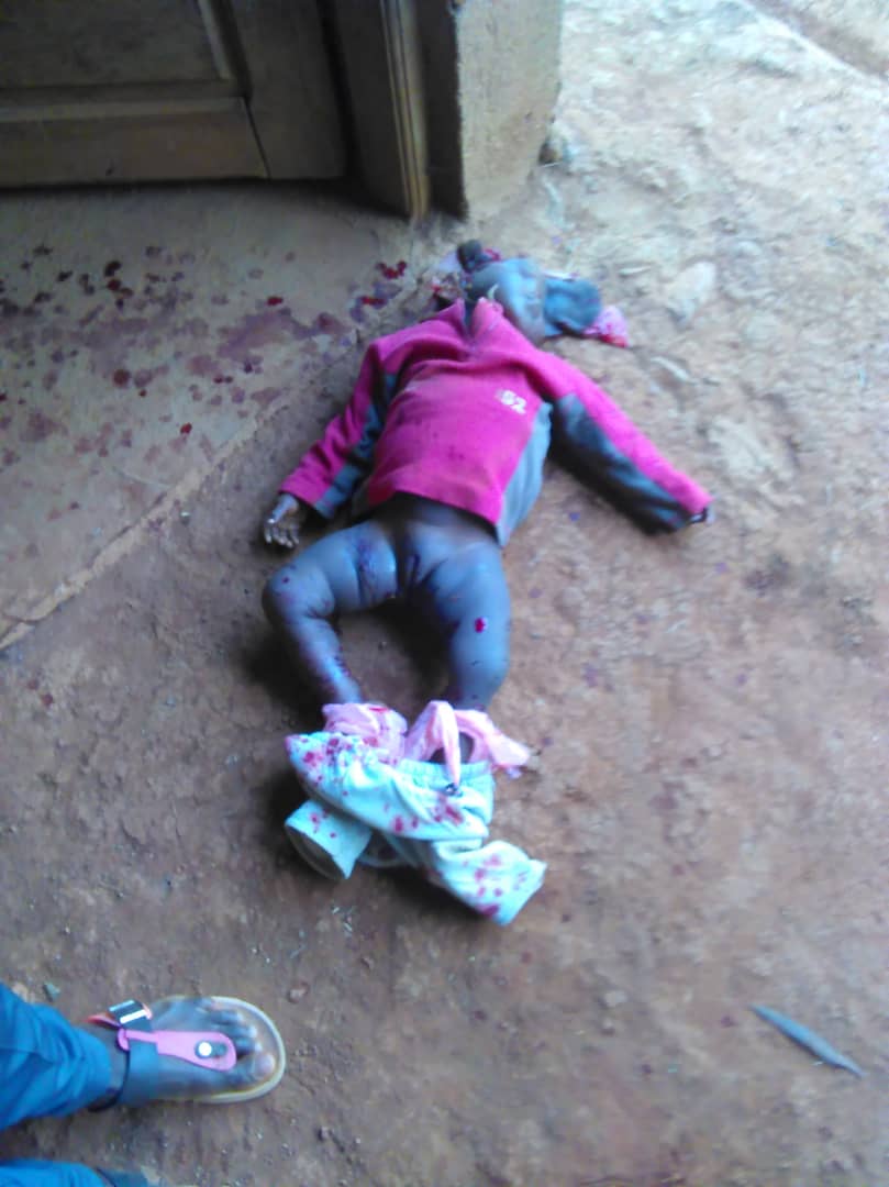 GilEkane's tweet photo. SOS ! #Cameroon military reportedly shot dead a child of about one year old and her mother in Kumbo. The world has remained silent while the #Cameroon military continue to kill even little babies. Pathetic @LeahHardingAJE @AlJazeera @KarenPierceUN @voglerk @SwedenUN @GermanyUN https://t.co/9JuTE5PlQi