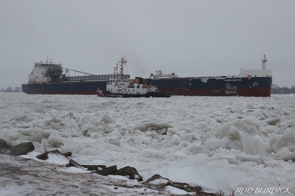 RodBurdick's tweet photo. Heavy ice on the St. Clair River (January 23, 2019)
#coastguard #uscg #bristolbay #algomaniagara #algoma #algomacentral #ice #stclairriver #greatlakes #puremichigan https://t.co/uCNUuIcnei