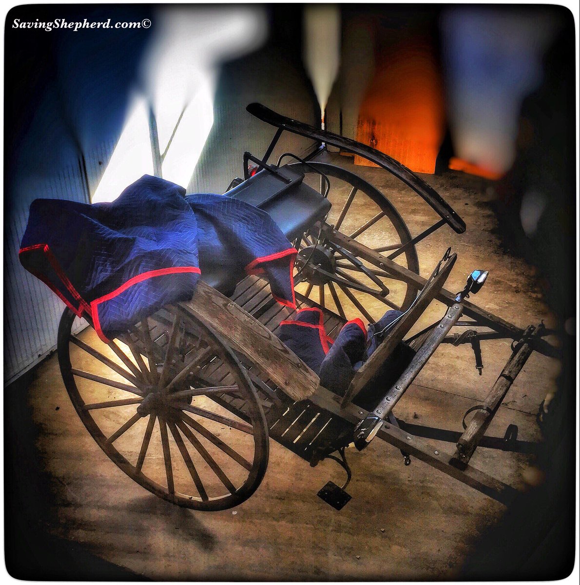 SavingShepherd's tweet photo. Today's Truth -
“Worry ends where faith begins.”
~ Amish Proverb
🤗
#faith #hope #quoteoftheday #Amish #proverb #photooftheday #worry #trust #truth #quote #savingshepherd #country #life #photograph #simole #countrylife #photograghy #visitpa #photo #travel #Lancaster #PA #USA 🇺🇸 https://t.co/3MVuISkEZd