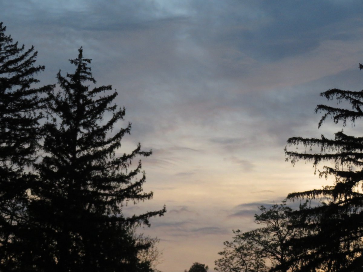 PLKlein_Author's tweet photo. "A man who says it cannot be done is generally interrupted by someone doing it." ~ #ElbertHubbard #QuickQuotes #ThinkingOutLoud #ThursdayMood #ThursdayMotivation #ThursdayThoughts #Man #CannotBeDone #Interrupted #Someone https://t.co/oPak8tJxpY