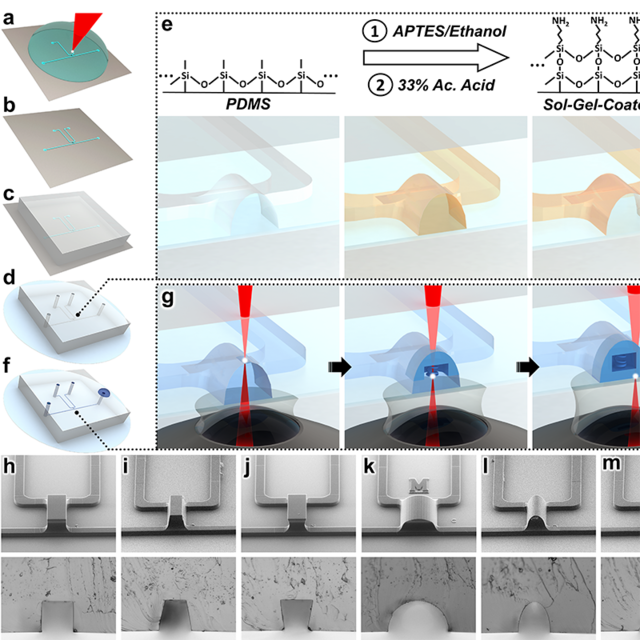 KualiResearch's tweet photo. Engineers at the @UofMaryland have created the first 3D-printed #fluidcircuit element so tiny that 10 could rest on the width of a human hair. The #diode ensures fluids move in only a single direction. @NSF https://t.co/YxNDn2I6Sj https://t.co/4dAYnqHPiL