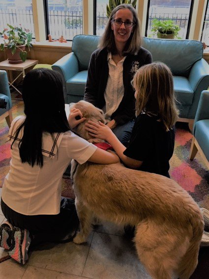 Eglinton Vet Toronto tweet media