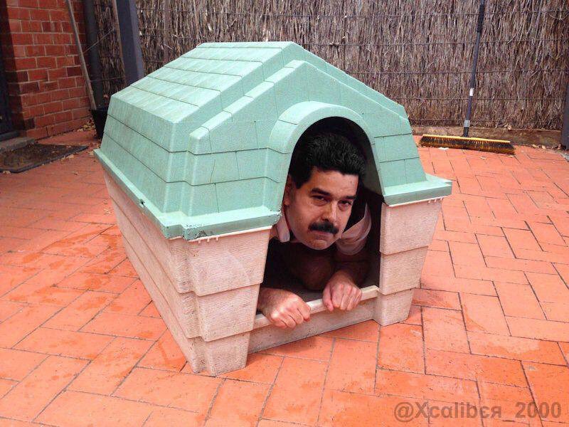 kkatiragladys's tweet photo. #RebelionHastaQueSeVaya 
En toda la zonas de caracas se escucha el sonar de cacerolas (8.34pm)
Fuera Maduro usurpador https://t.co/8tOOSVgdTn
