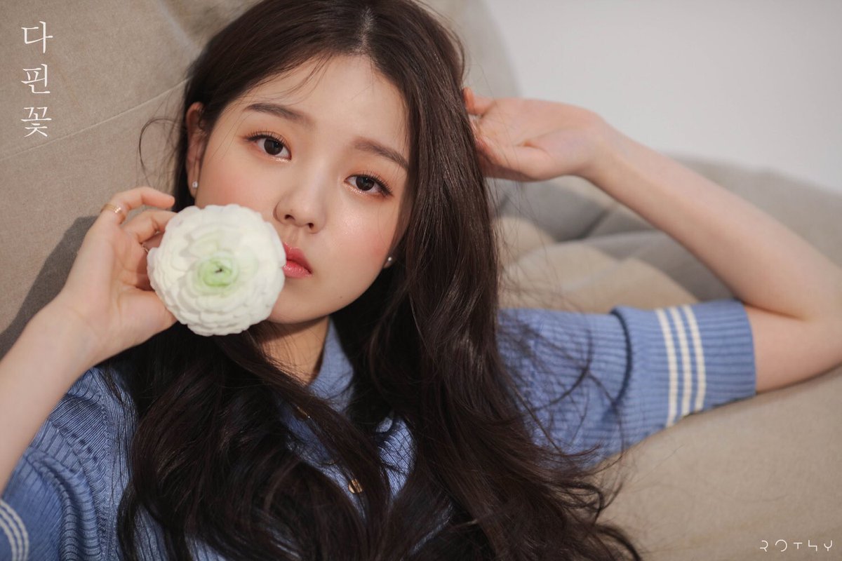 RothyUpdates's tweet photo. ⇢ Rothy’s new single #다핀꽃 literally translates to “All Bloomed Flowers”, despite so this is not the official english title to the song as it has not been announced yet
{#Burning #로시 #버닝 #Rothy #Shape_of_rothy} https://t.co/bE8TS4AxQv