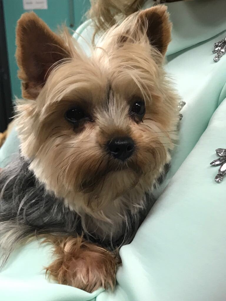 Rachel Riley MBE 💙 tweet media