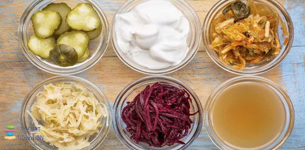YogurtNutrition's tweet photo. [Quote] "Based on the data reported in this survey, consumption of fermented foods would not only provide important macronutrients, they could also deliver large numbers of potentially beneficial microorganisms to the gastrointestinal tract"

➡️ https://t.co/jw1F6qGAw6 https://t.co/I1dt8gpKT3