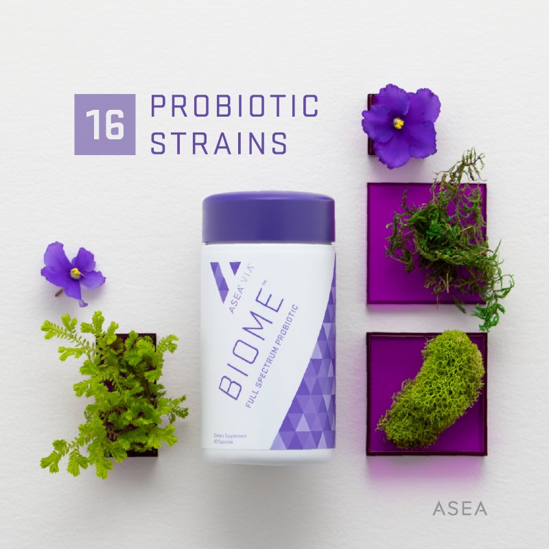 ASEA Corporate on Twitter: "Expertly formulated, VIA Biome contains a  whopping 16 probiotic strains as well as prebiotics, a vital precursor to  nourishing the microbiome. #asea #redox #asealife… https://t.co/NmkrmRxKDc"