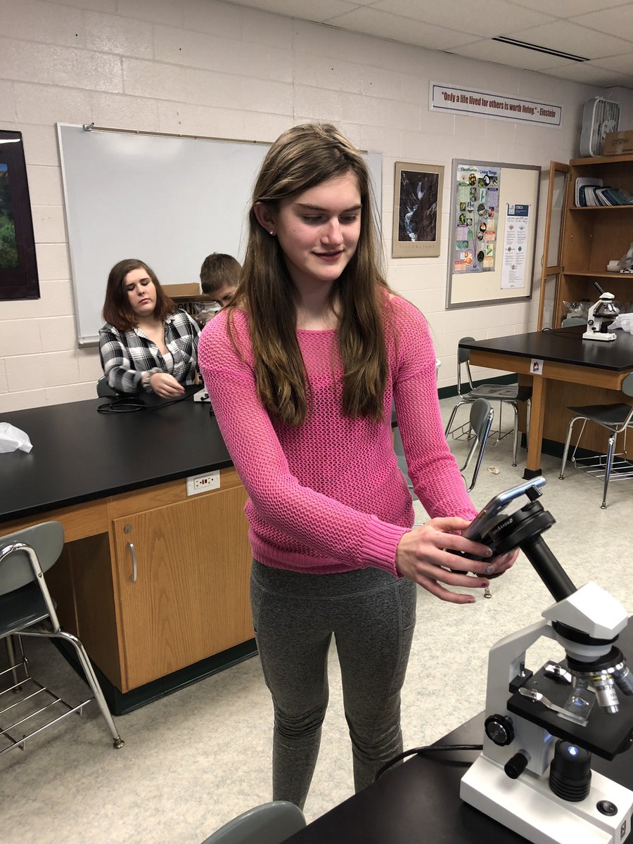 Elissa Gong tweet media