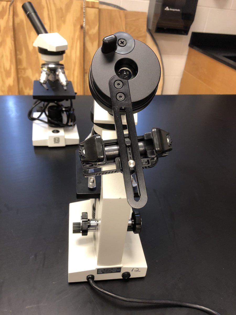 Elissa Gong tweet media