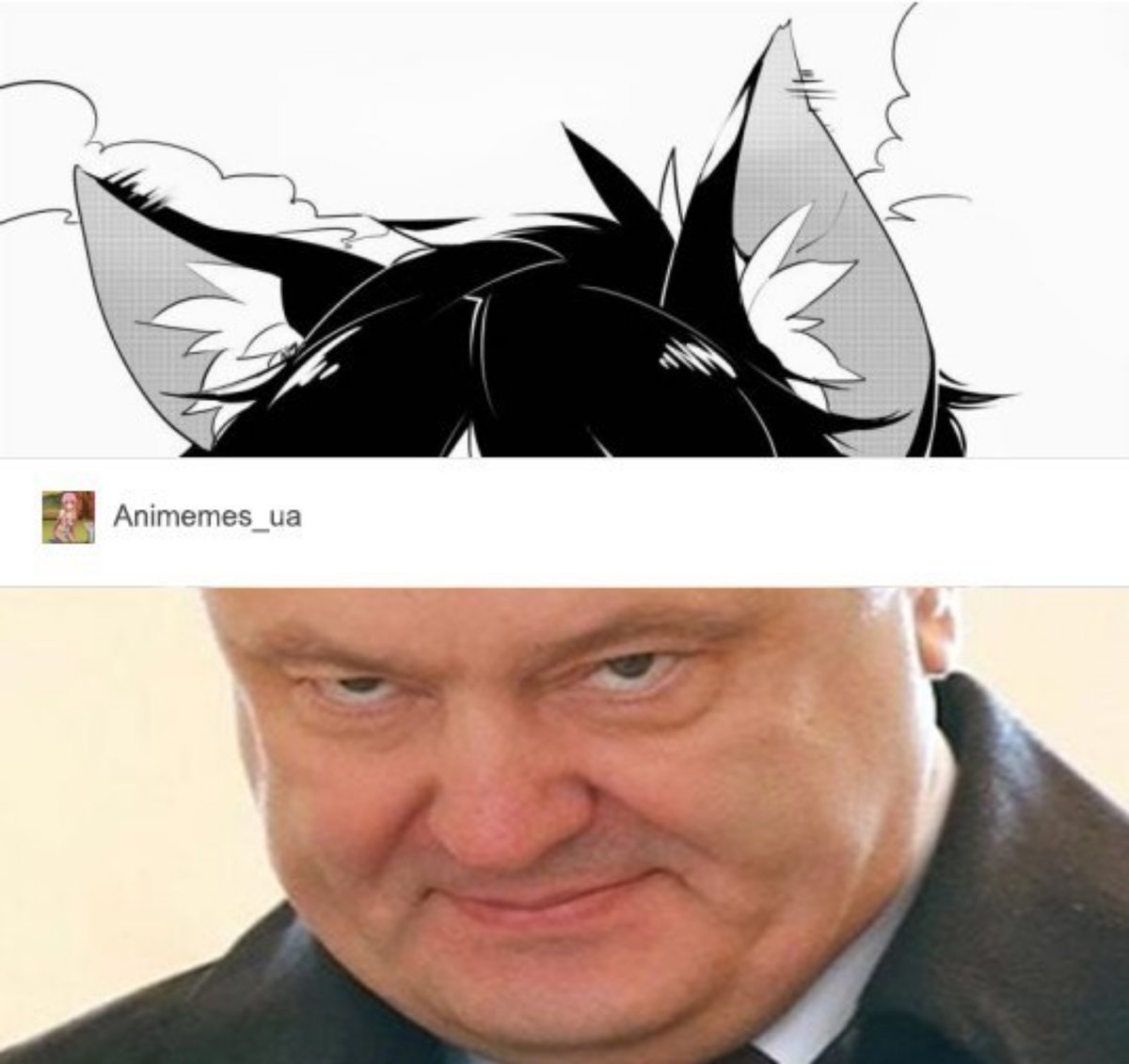 DxtCbj-WwAAeU5N?format=jpg&name=large