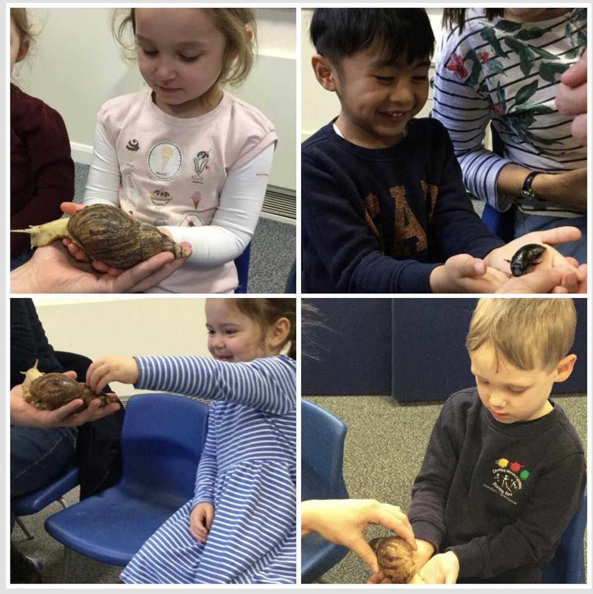 ‘The zoo is coming to our school’...not quite the whole zoo; but Joe our friend from Zoolab entertained the children today with his amazing animals!! <a href="/ZooLabUK/">ZooLabUK</a> #WeAreDorking