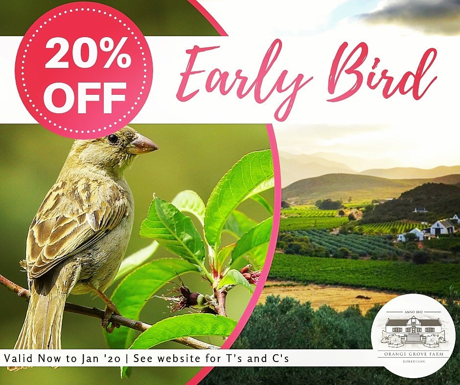 If this doesn't ruffle your feathers, nothing will! Book directly with us now. #earlybird #BestDeal #accommodation