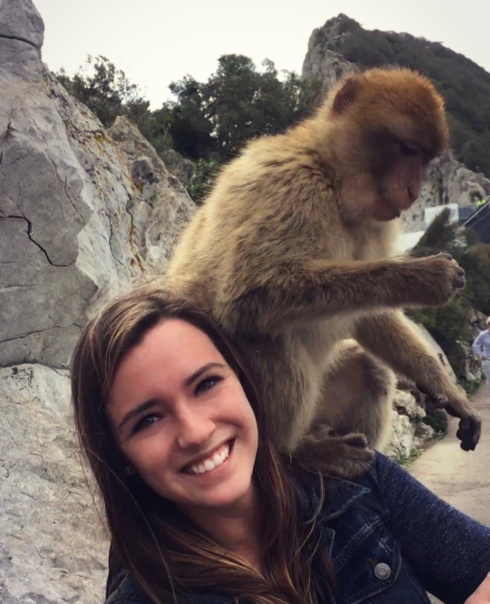AbroadUNI's tweet photo. Don’t monkey around! Study abroad this fall or summer! Applications will be accepted until March 1!
#abroaduni https://t.co/eUouDx9aWW