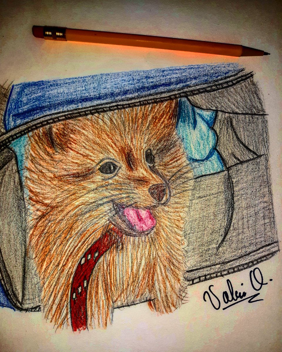 loveskarol90's tweet photo. dibujo hecho por @ValeDrawingKS
#simbasevilla😍🐶🐶 https://t.co/HFAPJjZlAL