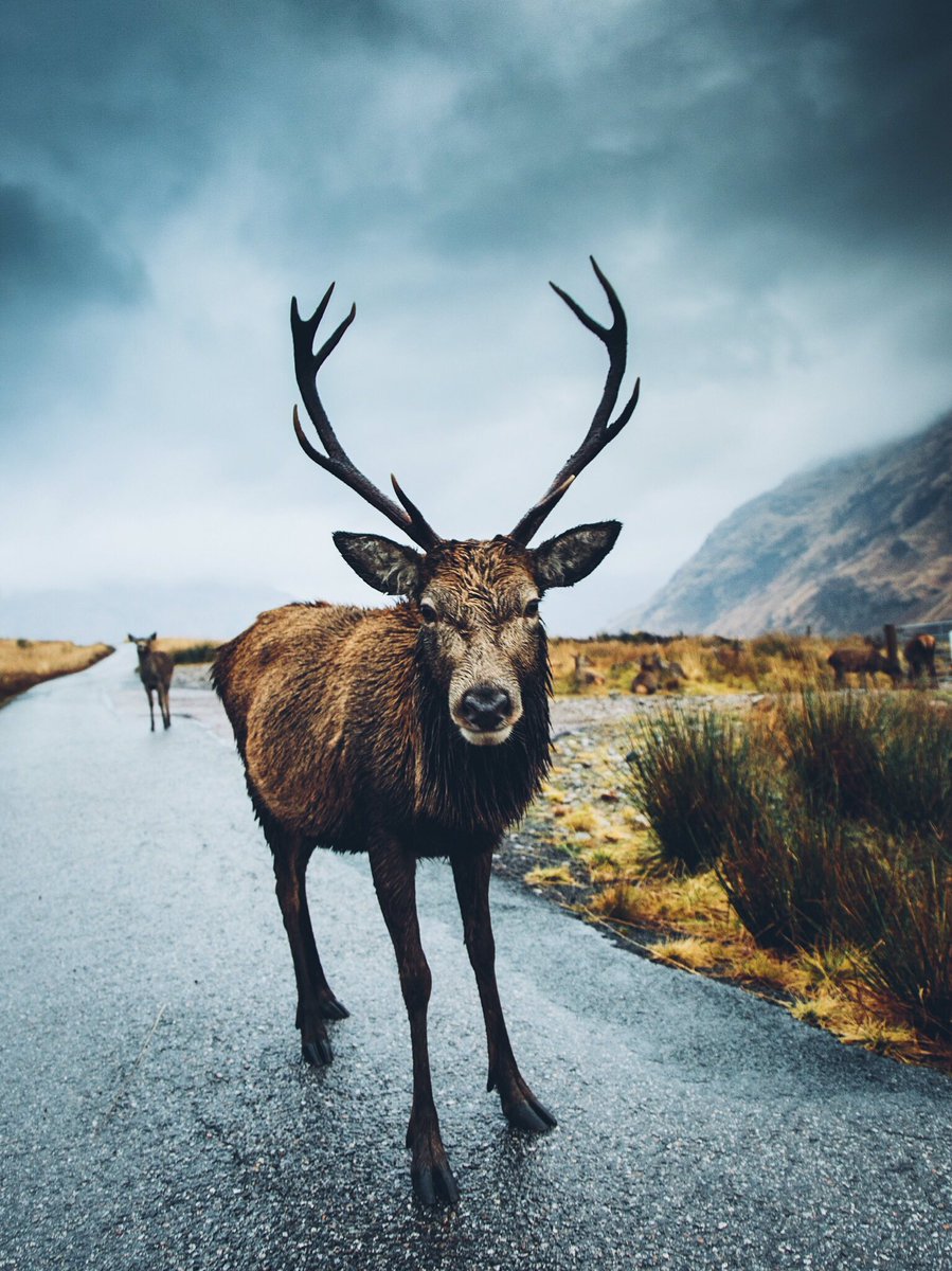 Daniel Casson tweet media