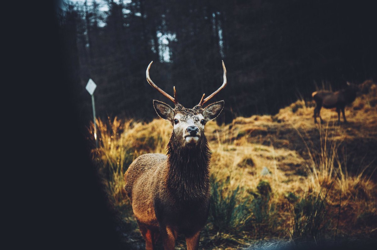 Daniel Casson tweet media