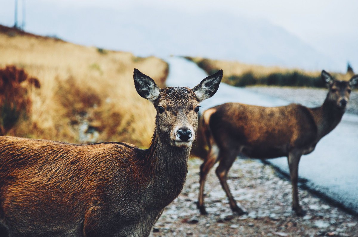 Daniel Casson tweet media
