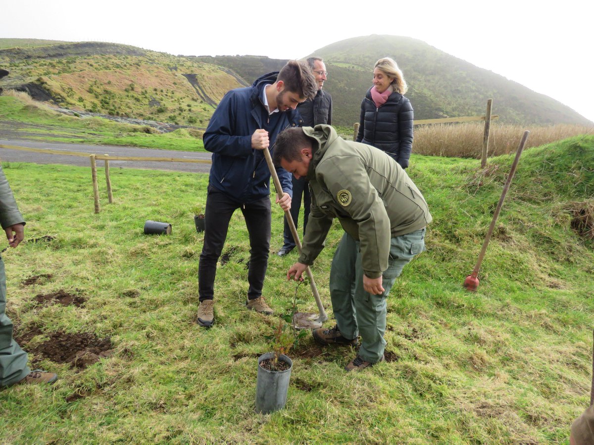 azooree_'s tweet photo. We care about the environment and that is why we along with the regional government of the Azores are committed to planting a tree for each visitor of our islands. @EU_ENV @EUClimateAction @europeaid  #sustainabletourism #sustainability #greennews #MyGreenWinter #naturematters https://t.co/Vs22IyOVMy