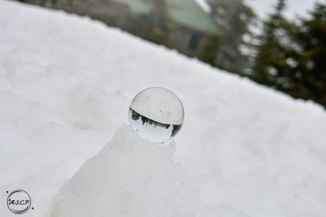 ANTREAS_SK's tweet photo. Cyprus through the sphere..#love #Cyprus #troodos #troodosmountains #mountain #photo #house #throughthesphere #Sphere #photography  #tree #crystalball #crystal #snow #tree #sky #clouds  #photo #photography #forest  #nature #travel #traveling #traveler #buetiful #CrystalBallCyprus https://t.co/cHvyrjLWr7
