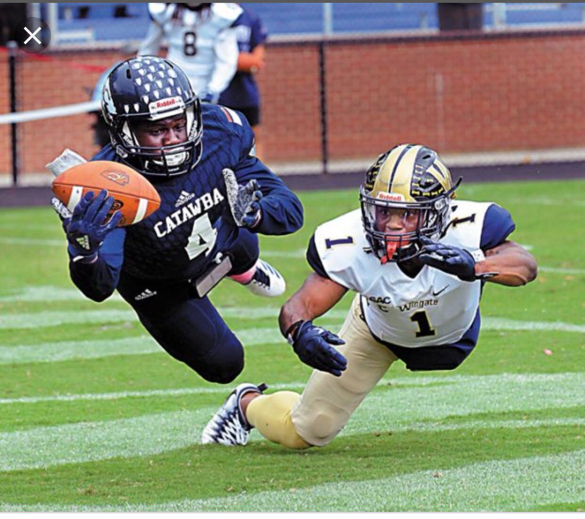 Christian campbell tweet media