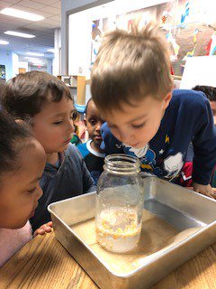 CampbellExtday's tweet photo. #STEM #DancingPopcorn https://t.co/cYzxpmibnq