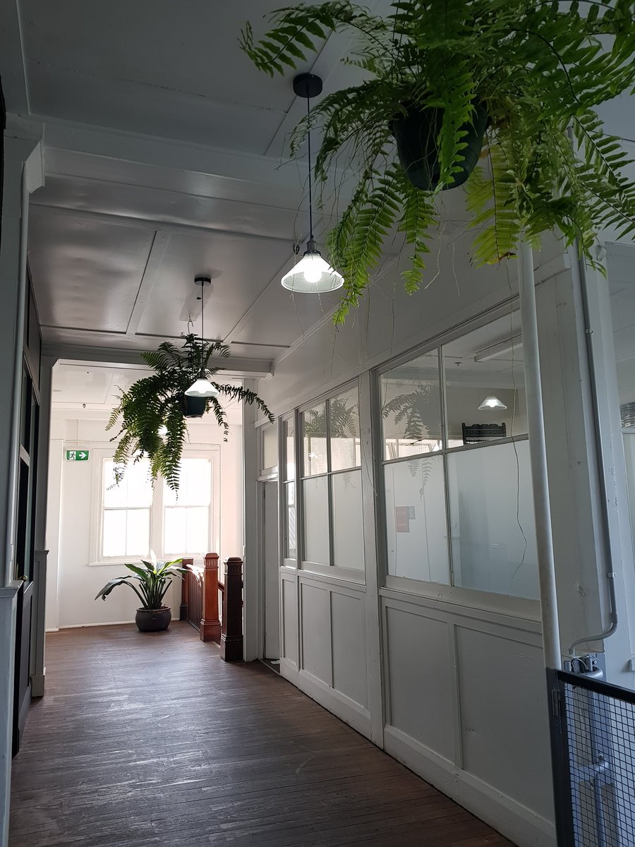 KylieParkerCA's tweet photo. Coming back to some new greenery outside my office 😁 #precinct75 https://t.co/jHMh1Ccgw4