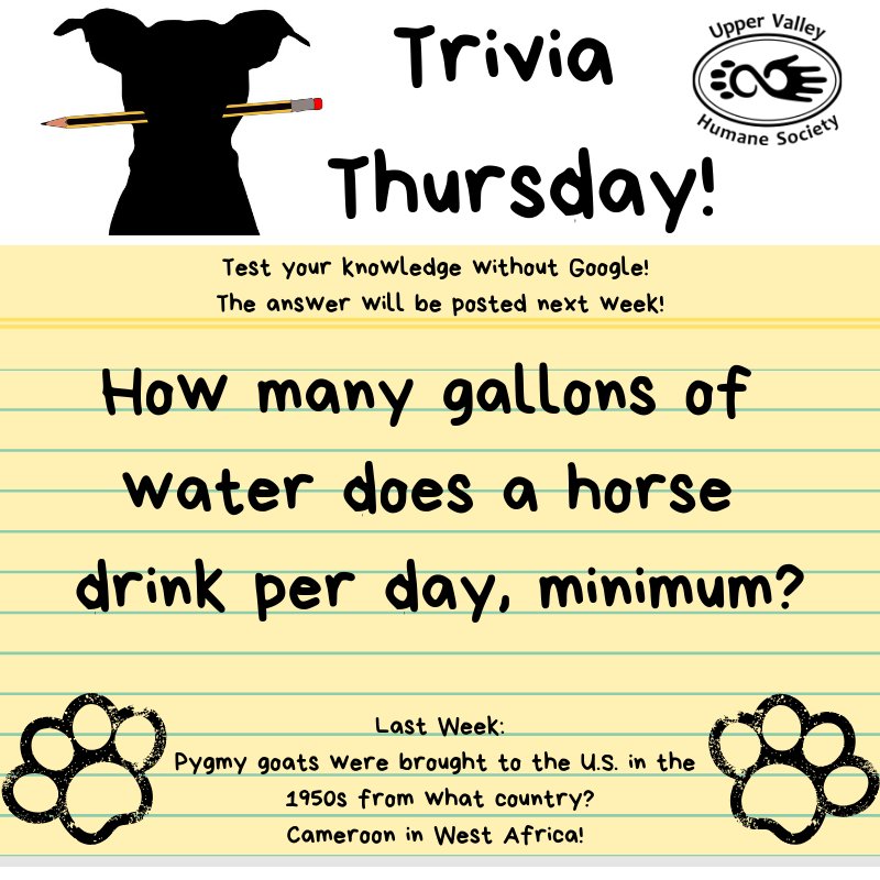 UVHumaneSociety's tweet photo. It's #TriviaThursday at #UVHS! https://t.co/YCwS7aSflU